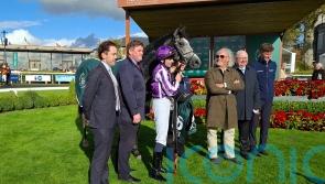 Dorset delivers in Goffs Million for Ballydoyle