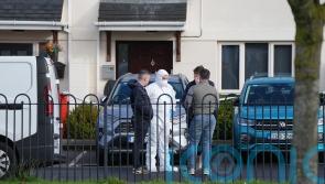 Irish police &lsquo;not looking for anyone&rsquo; over deaths of man and child in Dublin