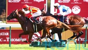 Murphy hoping to help realise Arc Dream for Japan