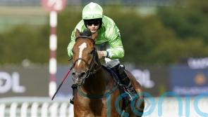 Quinn expecting mighty performance from Jm Jungle