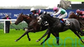 Fantasy World shocks Ascot rivals with 20-1 success
