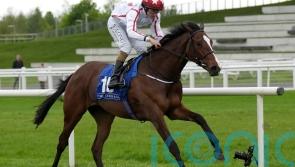 Barnavara hits high note with Opera success