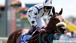 Long Distance Cup option open for Al Qareem