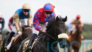 Champions Day date the first choice for Sprint Cup victor Big Mojo