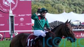 Arc hero Daryz to stay in training as a four-year-old