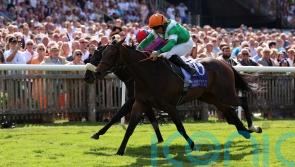 No Half Measures bows out following Champions Sprint run