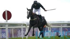 Sticktotheplan out for more glory after Persian War triumph