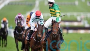 The New Lion on course for Fighting Fifth return