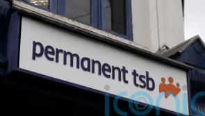Partially state-owned PTSB put up for sale