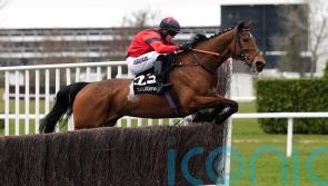 Myretown prepping for Coral Gold Cup with Ayr workout