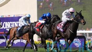 Willie Mullins conquers Breeders&rsquo; Cup with Ethical Diamond