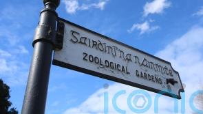 Dublin Zoo &lsquo;vehemently disputes&rsquo; staff harassment and animal welfare claims
