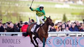 Cromwell anticipating Punchestown jockey switch for Inothewayurthinkin