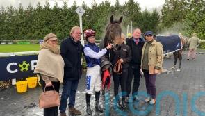 Sonic Pioneer keeps Harry Redknapp on crest of a wave