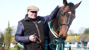 Constitution Hill sets out on redemption trail at Newcastle