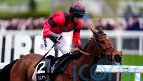 Myretown looking to be first big winner for Russell and Scudamore team