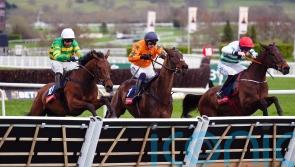 Skelton to take time in plotting The New Lion route