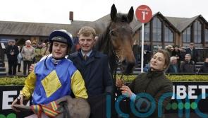 Thoughts turn to Limerick at Christmas with Oscars Brother