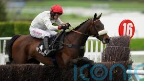 Festival hero Chianti Classico all set to enjoy happy retirement