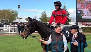 Conman John likely to head straight to Cheltenham Festival