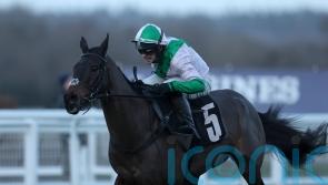 Wilful a welcome Ascot winner for resurgent O&rsquo;Neill team