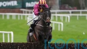 Koktail Divin off the mark with Leopardstown chase triumph