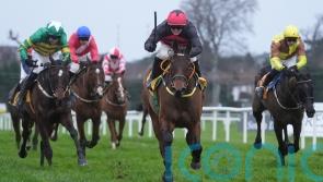 Affordale Fury brushes aside big names to secure Savills Chase title