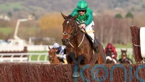 Matata relishes return to longer trip at Cheltenham