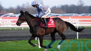 George on the lookout for Francais confidence builder