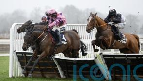 Two-time Long Walk Hurdle winner Crambo retired