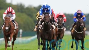 The Reverend booked for Dublin Racing Festival date