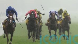 Mill Reef victor Words Of Truth headlines Meydan card