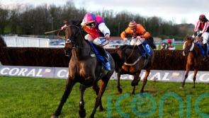 Haiti Couleurs adds surprise flavour to Irish Gold Cup possibles list