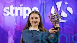 Kerry teenager wins 2026 Young Scientist award with brain cancer treatment tool