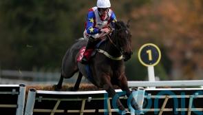 Hurricane Pat heading for Haydock run at the weekend