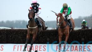 Salver too strong for Hampton rivals