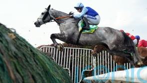 Murphy left proud of Resplendent Grey following Windsor effort