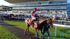 Dartmoor Pirate plunders Great Yorkshire prize