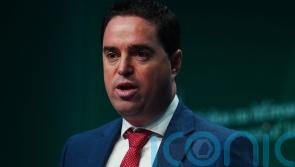 Bluetongue virus detected in Co Wexford herd, minister says