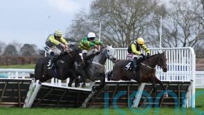 Snowden hopeful Conquiere can can make at impact at Cheltenham