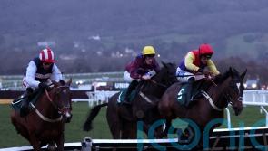 Kripticjim options for Tizzard in wake of Cheltenham success