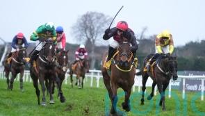 Affordale Fury on course for Irish Gold Cup challenge