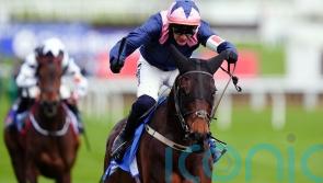 Kopek Des Bordes heading straight to Cheltenham