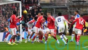 Nottingham Forest hold out after Neco Williams handball to deny Crystal Palace