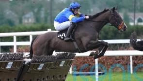 Saint Le Fort strikes in valuable Leopardstown handicap hurdle