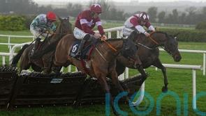 Staffordshire ties Boyne Hurdle rivals up in knots