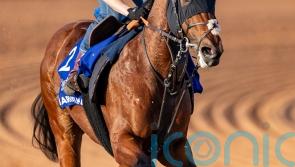 Marvelman leads European challenge for 1351 Turf Sprint in Riyadh