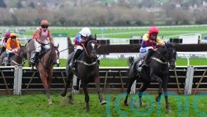 Kingwell could see Alexei book his Cheltenham ticket