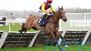 Johnson White hopes Sober Glory can provide him a landmark Cheltenham success