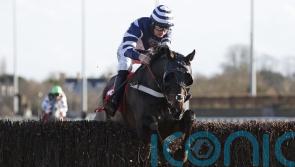 Reigning champion Katate Dori heads Ladbrokes Trophy field